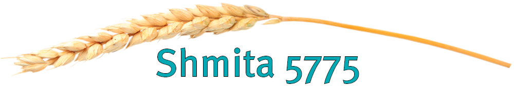 Blog header