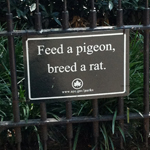 "Feed a pigeon, breed a rat" NY park sign