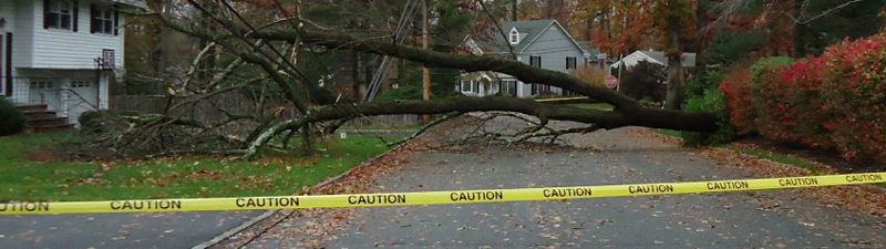 Hurricane_Sandy Hurricane_Sandy