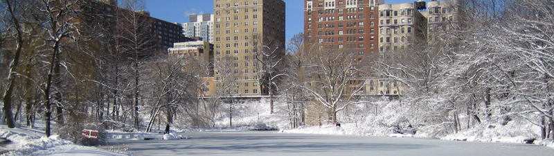 snow1header NY in snow