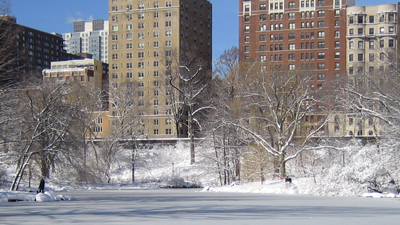 Snow in the City