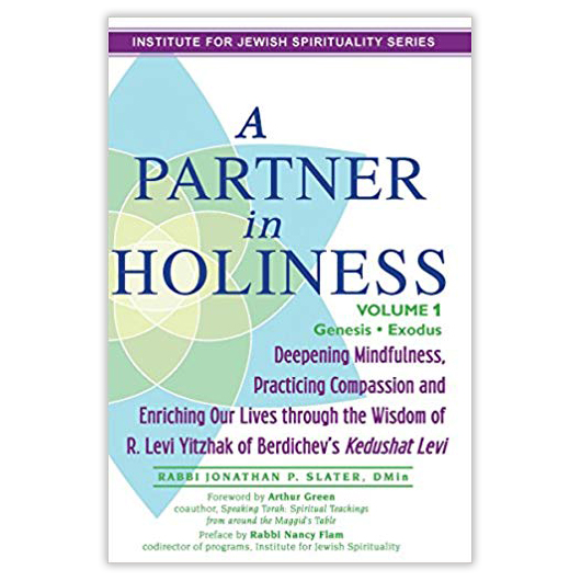 A Partner In Holiness by Rabbi Jonathan Slater: Volume 1