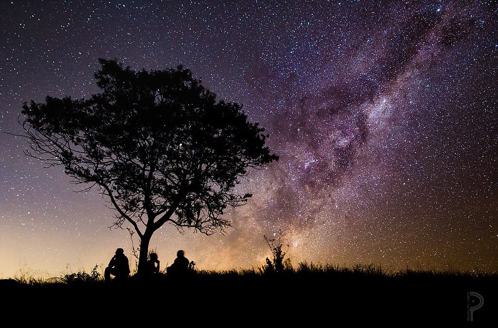 Rosh Hashanah 5784: Homeward Bound