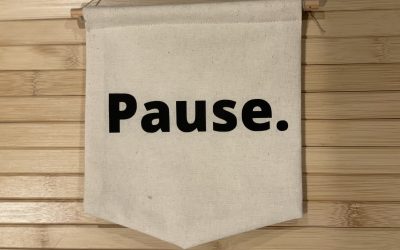 Vaera 5784: Pressing Pause