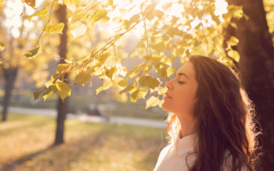 Listening for Torah in the “Still, Small Voice Within, Here and Now”