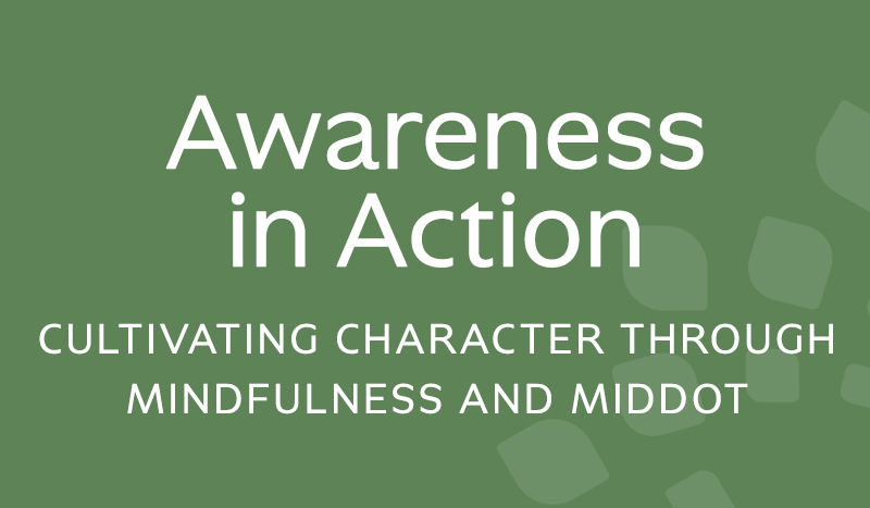 Protected: Awareness in Action