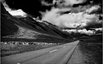 The Long and Winding Road (Balak 5784)