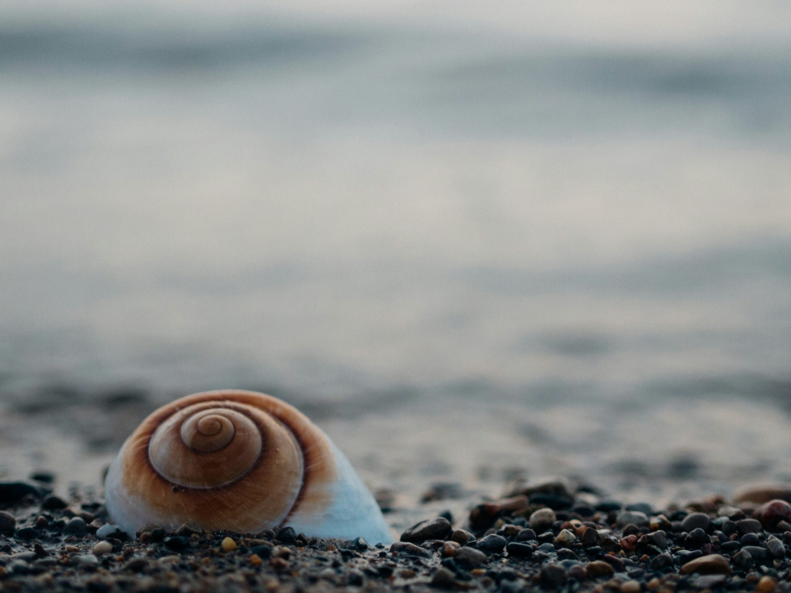 aaron-burden-XGNkXDdJcyc-unsplash