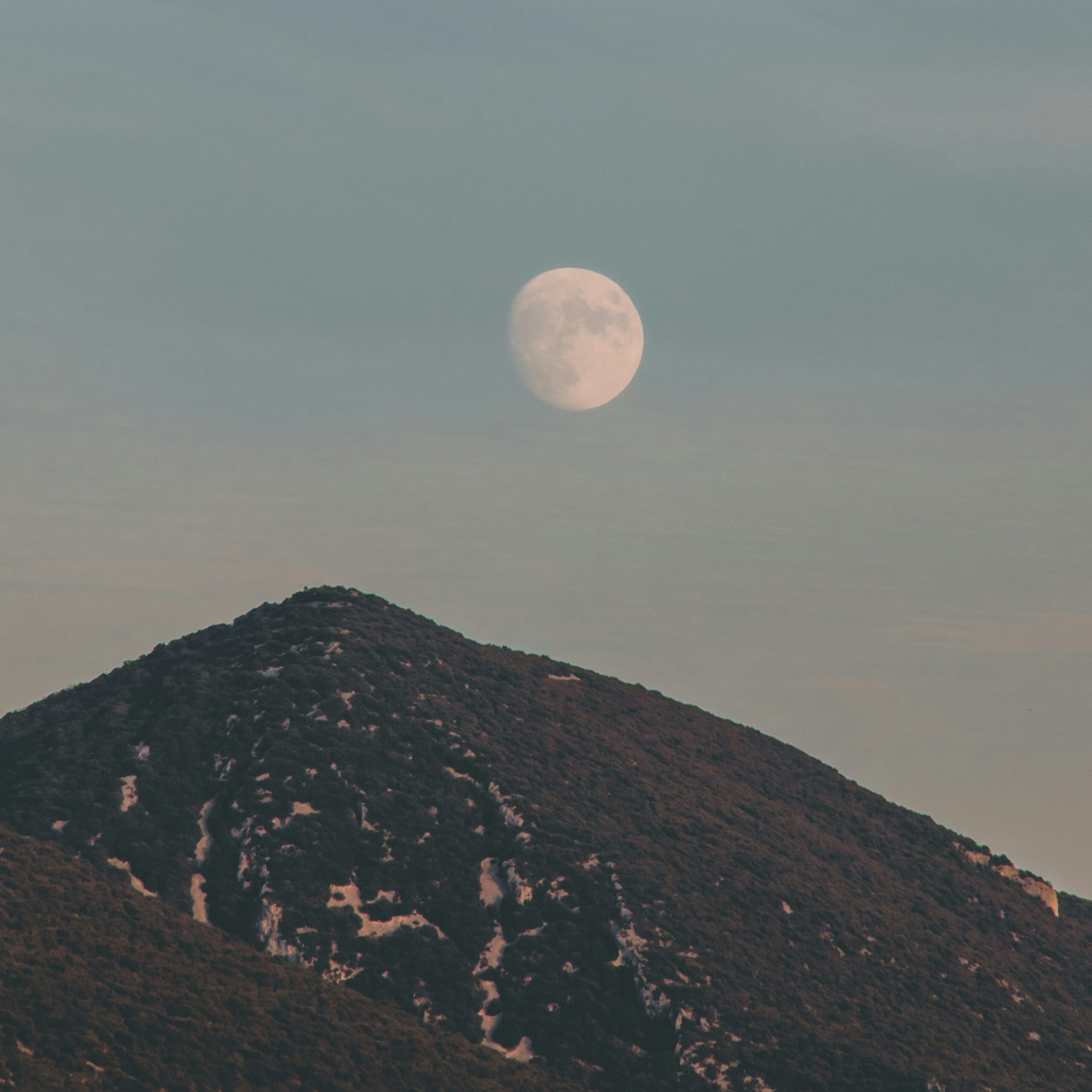 lucrecia-colombo-flores-HOXYln36Mjg-unsplash