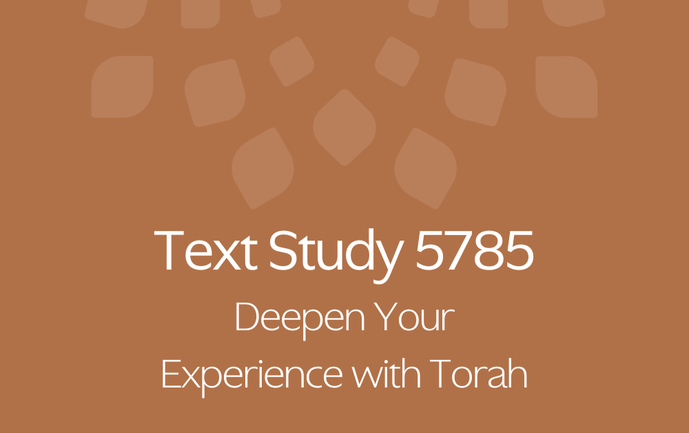 Text Study 5785