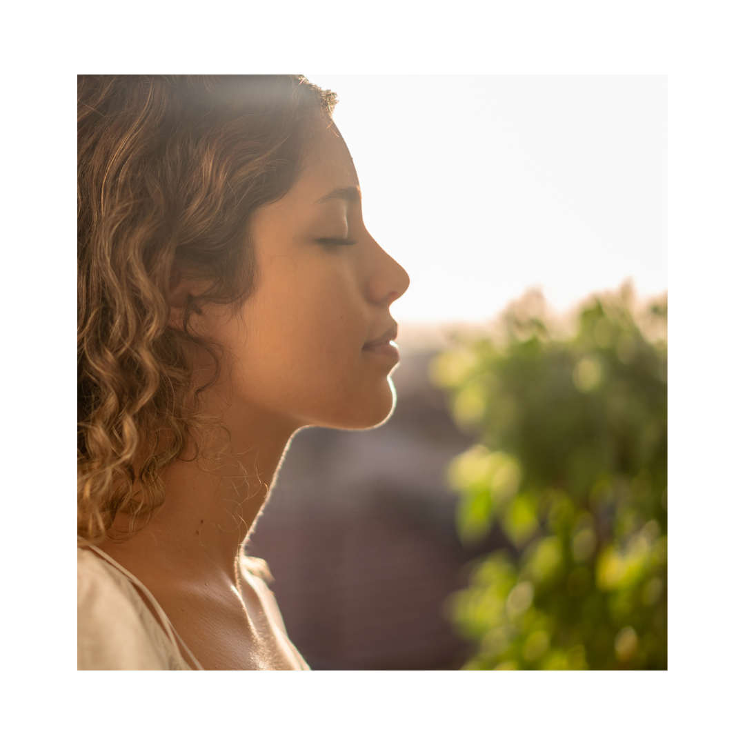 Meditation (2)
