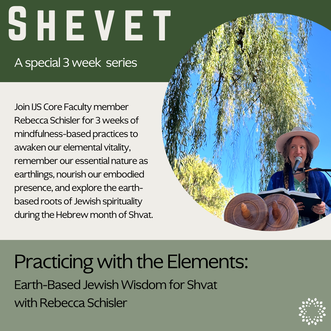 Shevet Series Feb 2025 Rebecca
