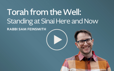Torah from the Well: Standing at Sinai Here and Now