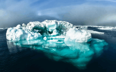 Balak 5785: Deeper Meanings