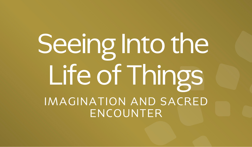 Seeing into the Life of Things: Imagination and the Sacred Encounter