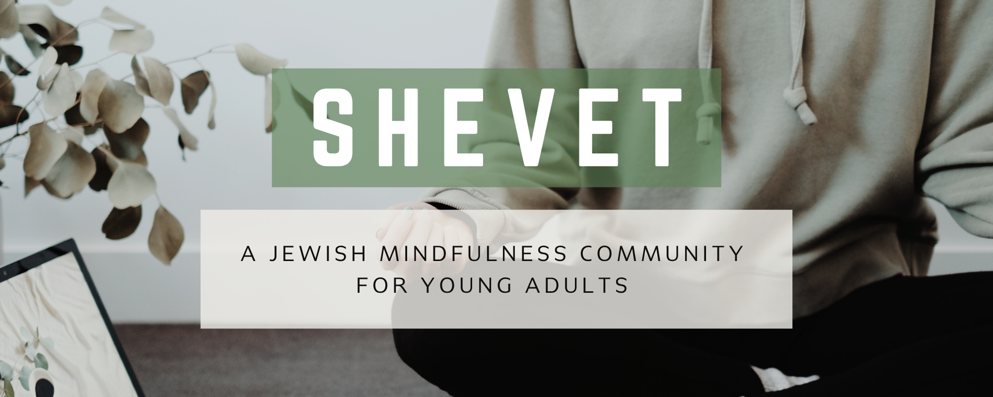 SHEVET: A Jewish Mindfulness Community for Young Adults