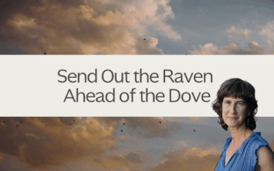 Send Out the Raven Ahead of the Dove