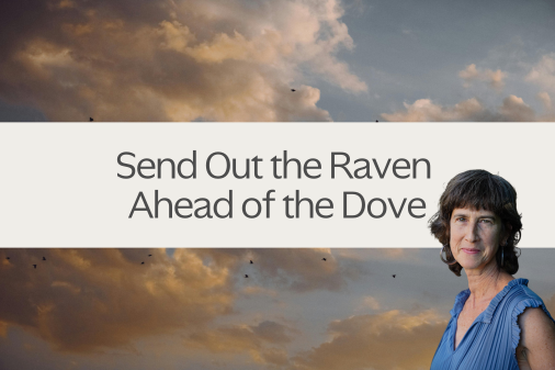 Send Out the Raven Ahead of the Dove