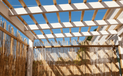 Haazinu 5786: Building our Sukkah