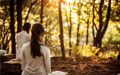 Lekh Lekha 5786: Crossover Episode