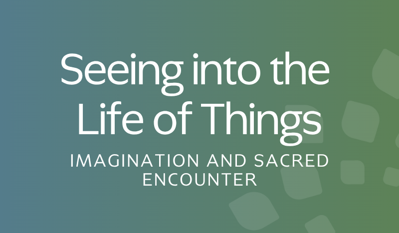 Seeing into the Life of Things: Imagination and the Sacred Encounter