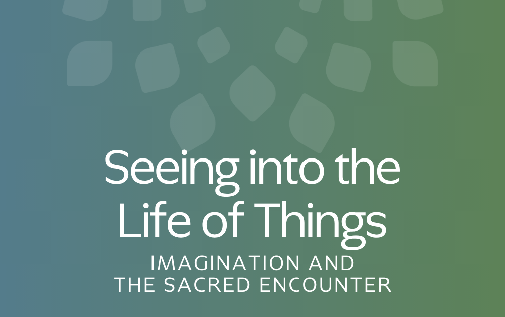 Seeing into the Life of Things