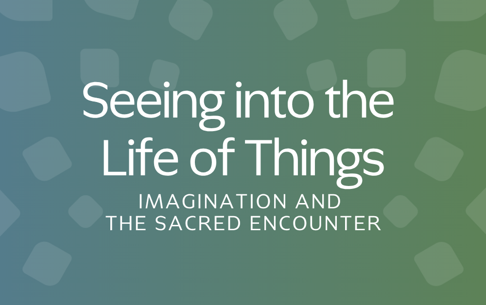 Seeing into the Life of Things