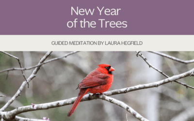New Year of the Trees