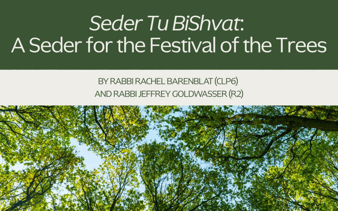 Seder Tu BiShvat: A Seder for the Festival of the Trees