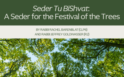 Seder Tu BiShvat: A Seder for the Festival of the Trees