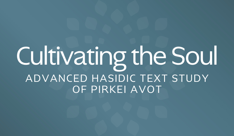 Cultivating the Soul