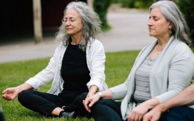 IJS Day of Practice – Meditation Session Recordings