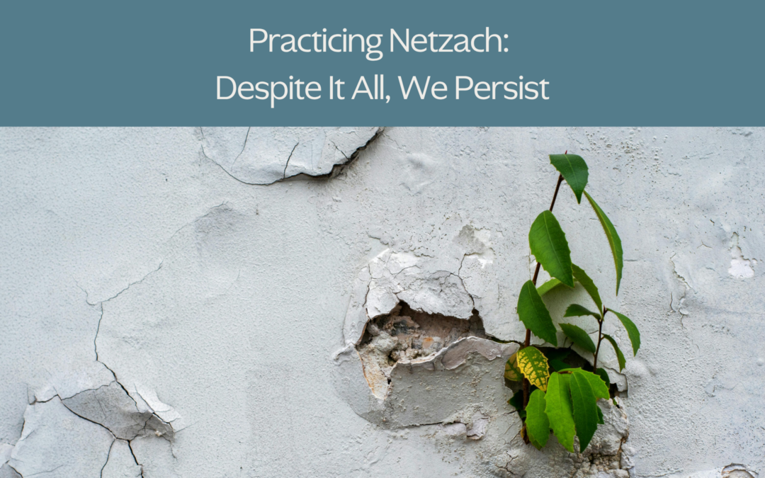 Practicing Netzach: Despite It All, We Persist