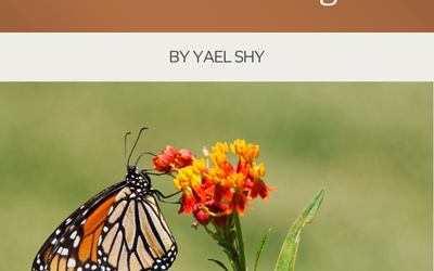 Noticing the Transitional Nature of All Things