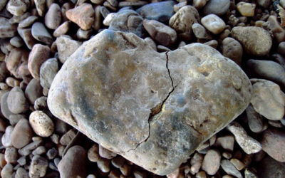 A Broken Heart, A Stable Home (Rosh Hashanah 5786)