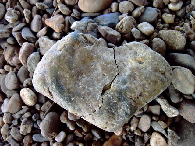 A Broken Heart, A Stable Home (Rosh Hashanah 5787)