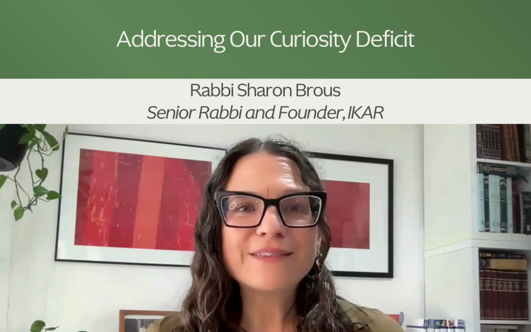 Mindful Civic Engagement: Rabbi Sharon Brous