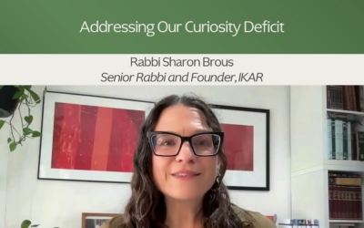 Mindful Civic Engagement: Rabbi Sharon Brous